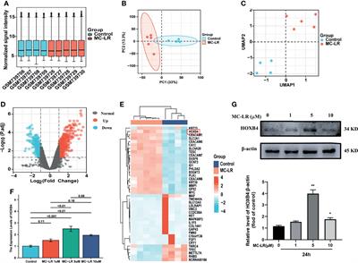 HOXB4 Mis-Regulation Induced by Microcystin-LR and Correlated With Immune Infiltration Is Unfavorable to Colorectal Cancer Prognosis